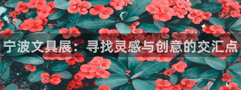 龙八国际优惠券：宁波文具展：寻找灵感与创