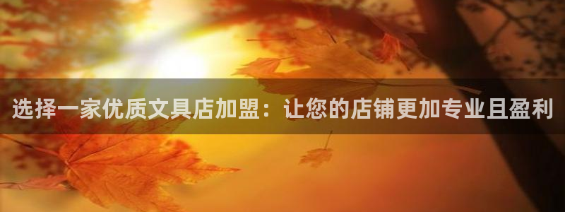 龙八国际平台：选择一家优质文具店加盟：让
