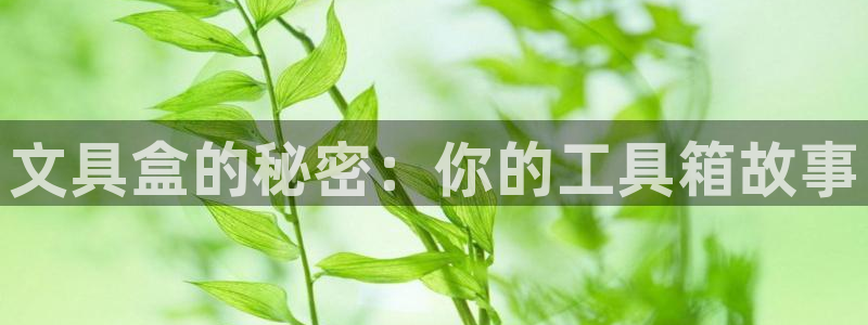 龙八国际城网站：文具盒的秘密：你的工具箱