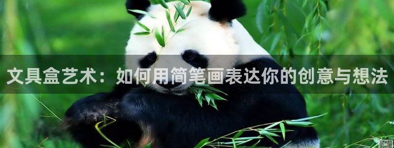 菲律宾龙八国际杀猪：文具盒艺术：如何用简