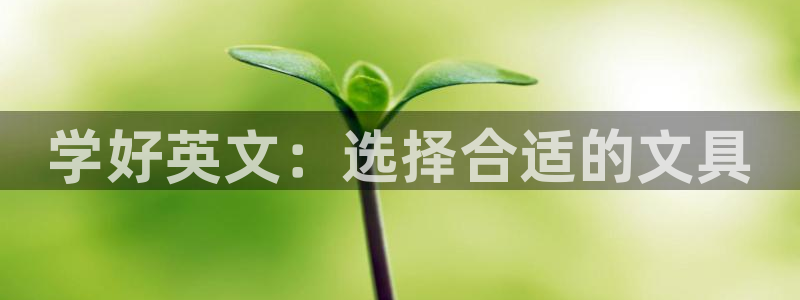 龙八国际娱乐二维码：学好英文：选择合适的