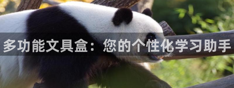 龙八国际管网登陆：多功能文具盒：您的个性