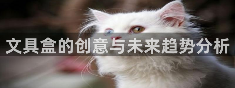 龙八国际服官网：文具盒的创意与未来趋势分