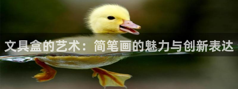 石家庄龙八国际老板是谁：文具盒的艺术：简