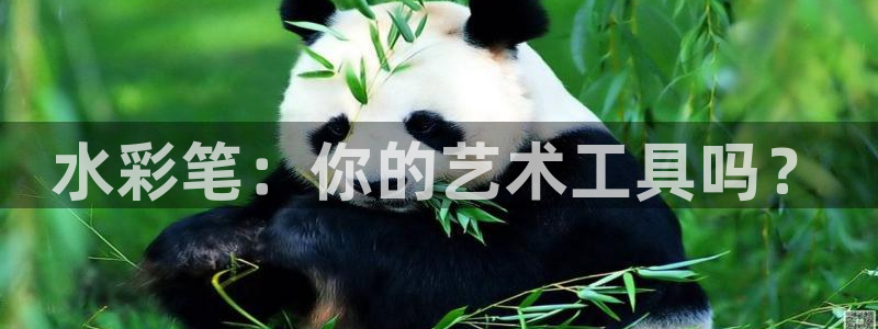 龙八国际服官方：水彩笔：你的艺术工具吗？