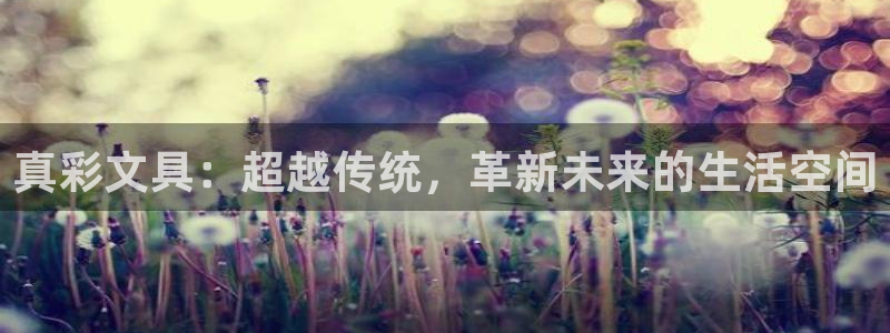 龙八国际娱乐网页多少：真彩文具：超越传统