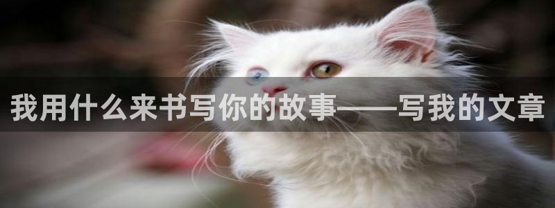 龙八国际代理：我用什么来书写你的故事——