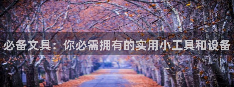 龙八国际电话：必备文具：你必需拥有的实用