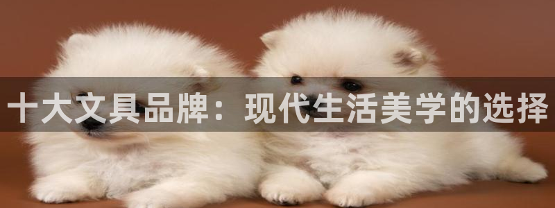 龙八国际新版：十大文具品牌：现代生活美学