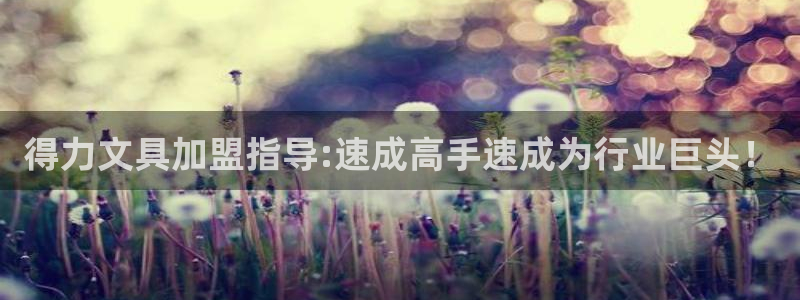 龙八国际黑不黑：得力文具加盟指导:速成高