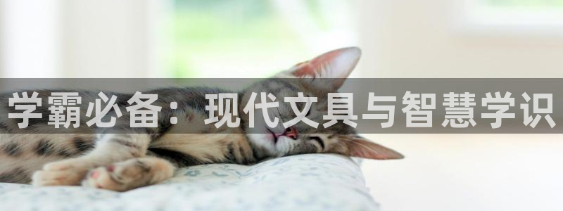 龙八国际游戏维护时间：学霸必备：现代文具