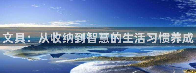 龙八国际pt老虎机官网：文具：从收纳到智
