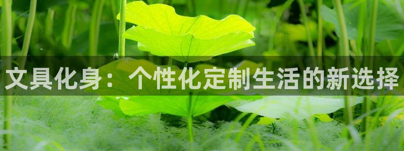 龙八国际客服端登录：文具化身：个性化定制