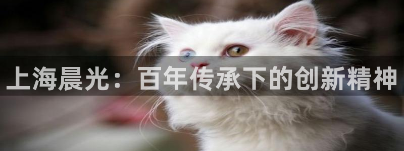 龙八国际是什么：上海晨光：百年传承下的创