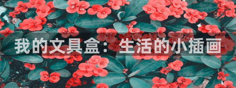龙八国际城：我的文具盒：生活的小插画